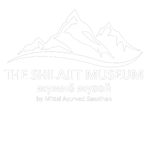 TheShilajitMuseum